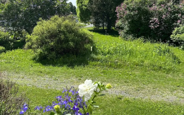 Unique Apartment in Kemi With Sauna Department & Free Parking