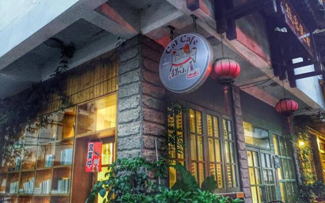 meeting the cats hostel