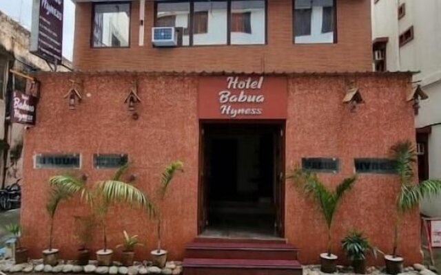Hotel Babua Hyness
