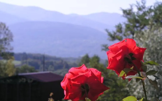 Hotel le Grandgousier