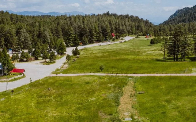 Başkonuş Yaylası Orman Evleri