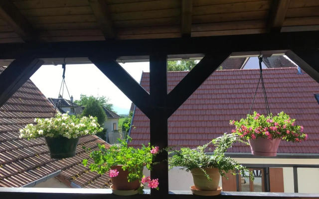 Bienvenue en Alsace