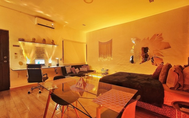 Citrus Studio By Paradox