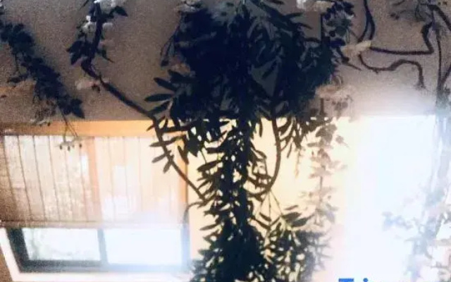 Xi'an Yuefu Courtyard Home