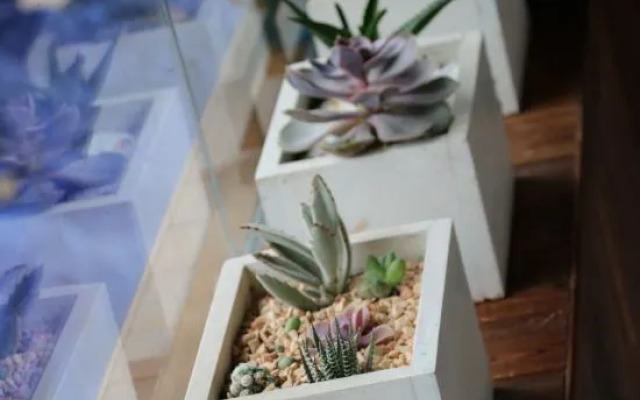 Xijiang Scenic Resort hotel