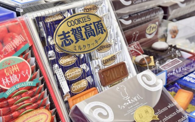 Shigakogen Olympic Hotel