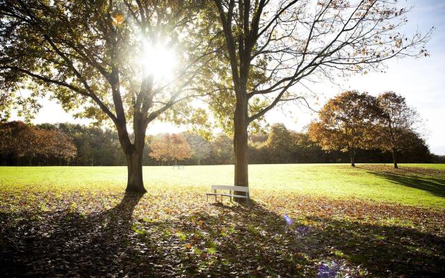 Skanderborg Park