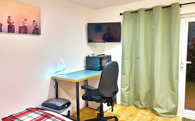 Open Plan Studio With Garden