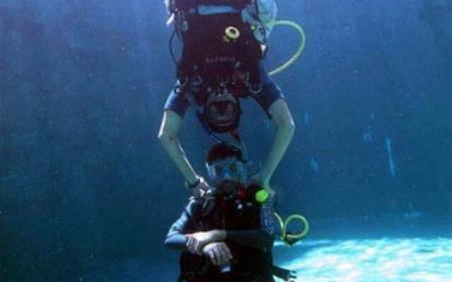 Dive Today