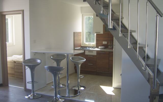 Apartments Villa Erik