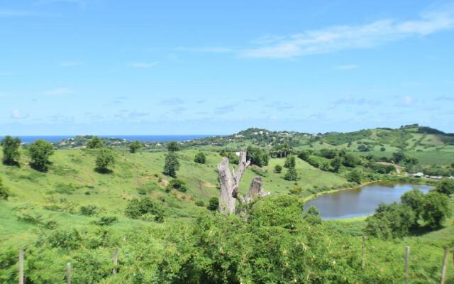 Bungalow la paillote