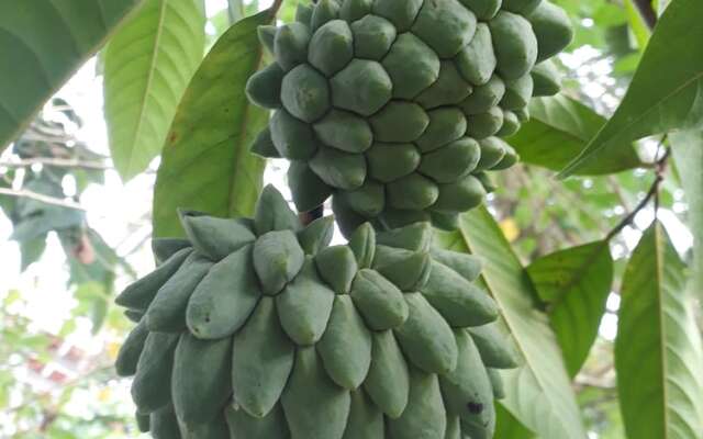 Pousada Casa da Praia Juquehy