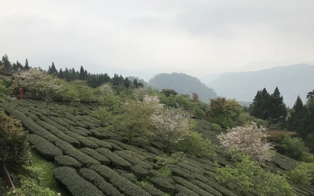 Zhu Yuan Homestay
