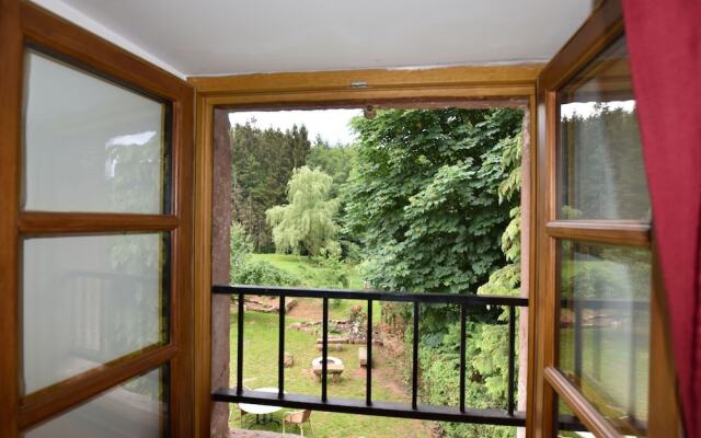 Apartment in Saint-dié-des-vosges With Terrace