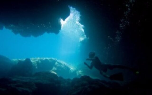 Backpackers Vacation Inn and Plantation Village