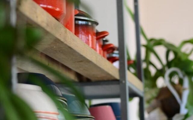 Jagoga Guest House - Hostel