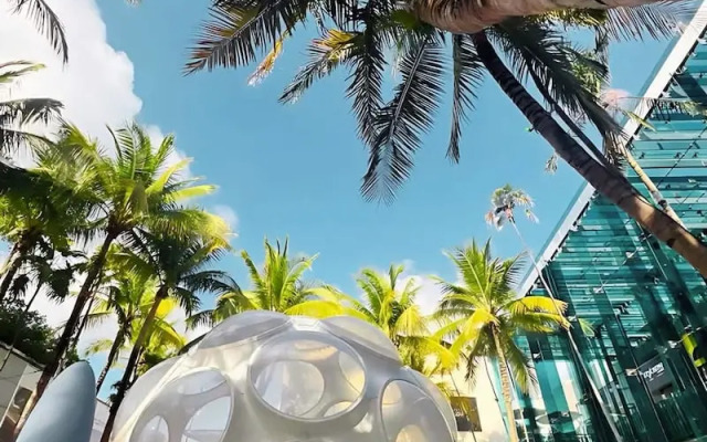 Your Miami Base With Free Parking