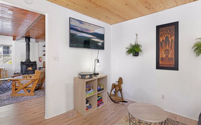 THE Bear Bauhaus #2106