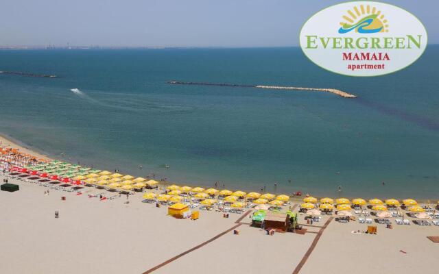 Evergreen Vlas Mamaia