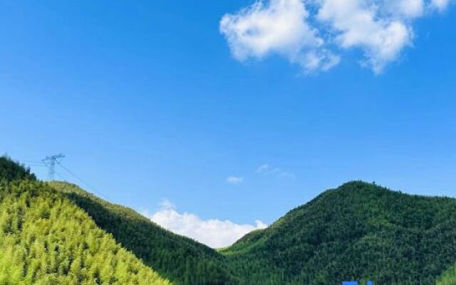 Wild Life Anji Field Design Homestay