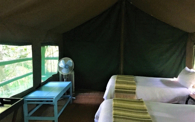 Phophonyane Falls Ecolodge