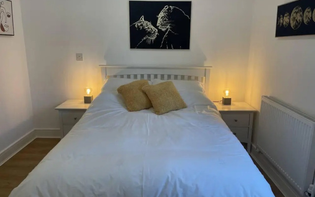 Modern The Mews Apartment