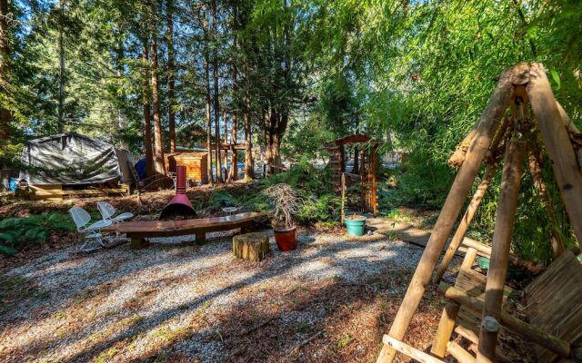 The Tree House Cottage