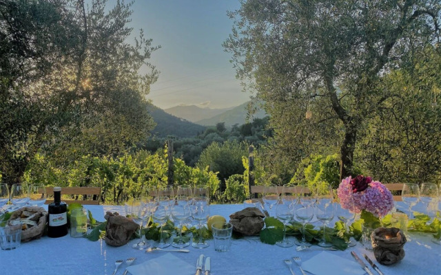 Tenuta di Tramonte