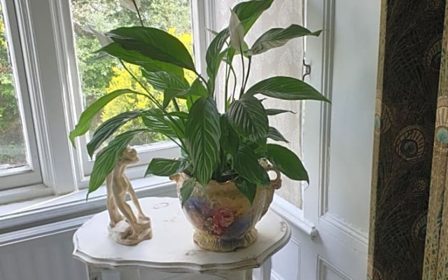Judy's B&B private home