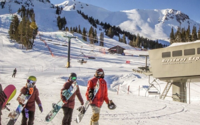 Mammoth Green Condos