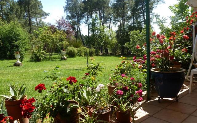 Domaine Du Planas - Patio