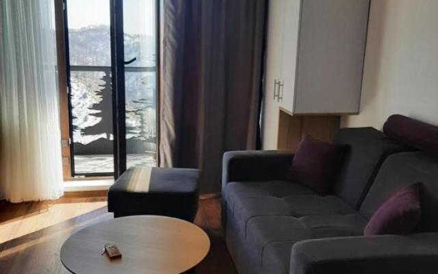 Ariš Kopaonik apartman A21
