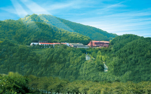 Chungju Suanbo Park Hotel