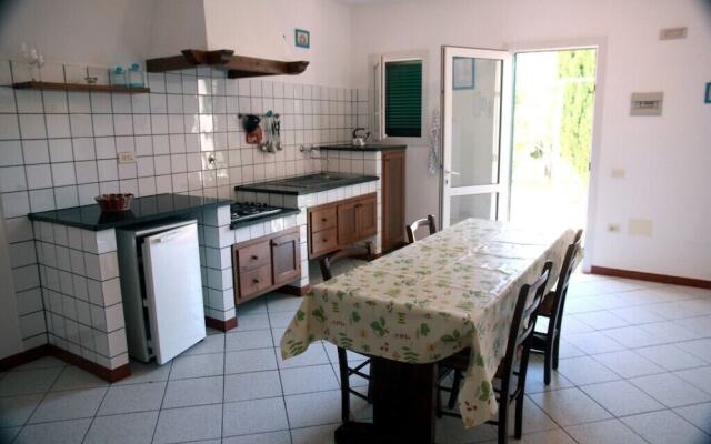 Azienda Agricola Sapereta