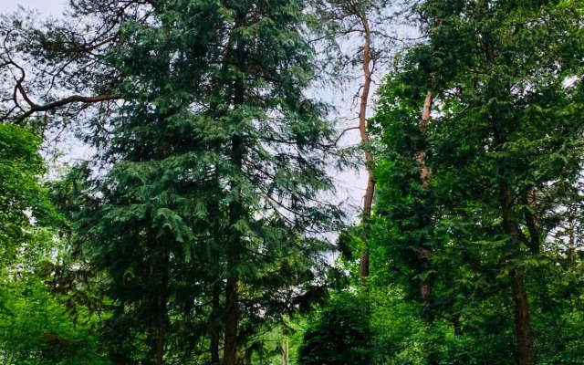 Zonnebos, private garden, fresh air, relax!