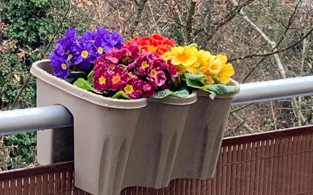 Apartment Prestige Prepared according to WHO recommendations