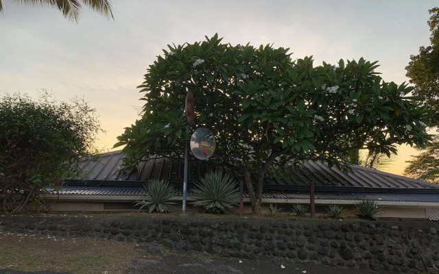 Mahina Apartment - Elegantly tropical