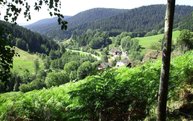 Magnificent Holiday Home in Reinerzau With Sauna