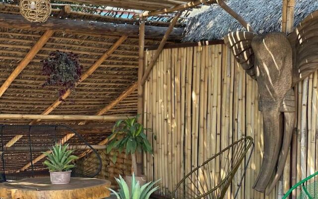 Hostel tipis