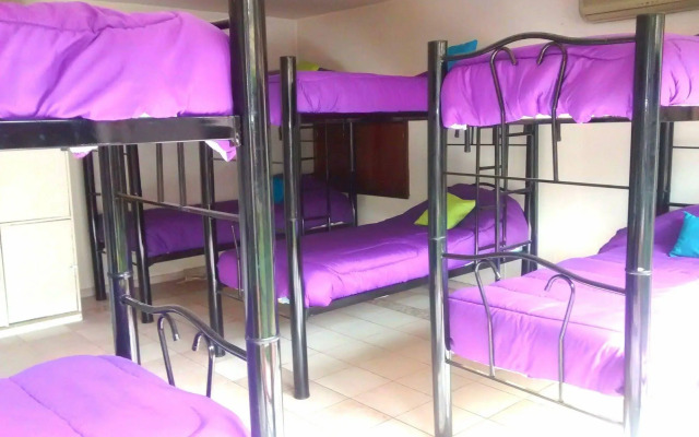 Gorilla - Hostel