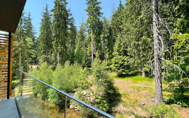 Apartmán Dolce Vita Harrachov 1.8