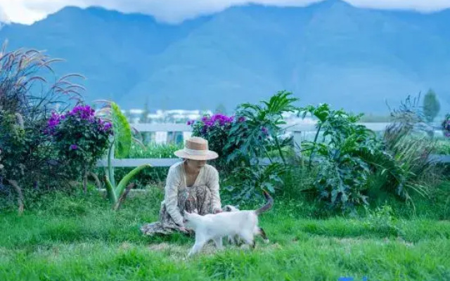 See the green mountains again