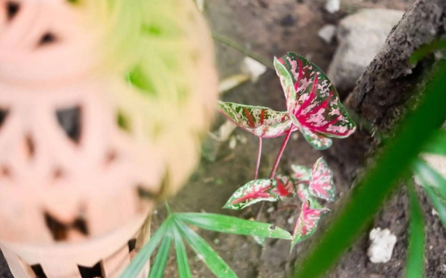 Pai Resort Pa Ger Yaw