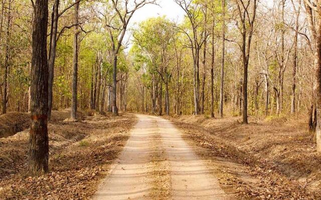 The Bagh - A Forest Retreat Kanha