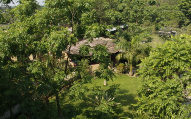 Chitwan Safari Camp & Lodge