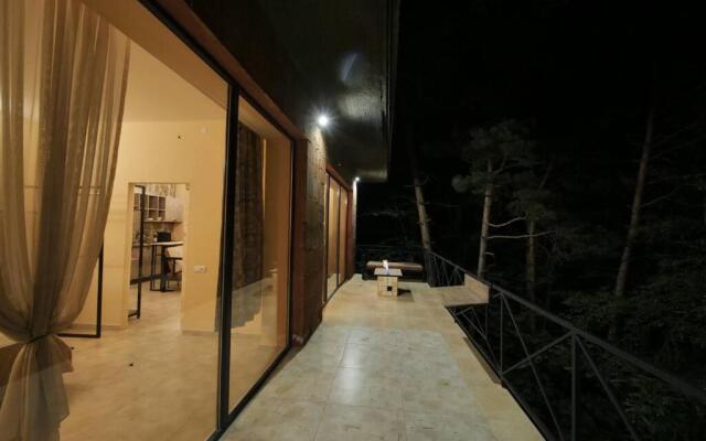 Grand Piano Cottage Dilijan