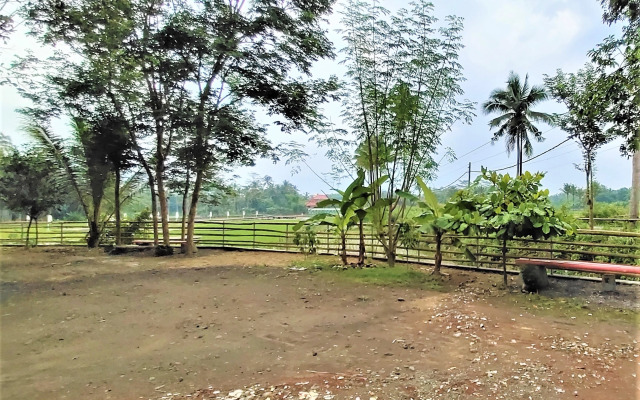Homestay Griya Merpil - Hostel
