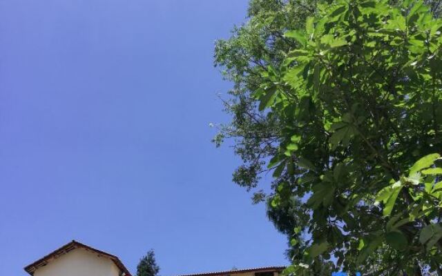 Shizhulinyoujubishushanzhuang