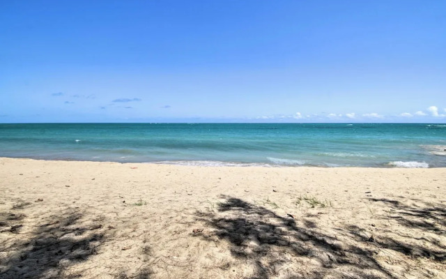 Loiza Condo w/ Rooftop Patio - Walk to Beach!