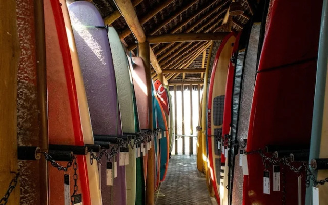 Longboard Paradise Surf Club